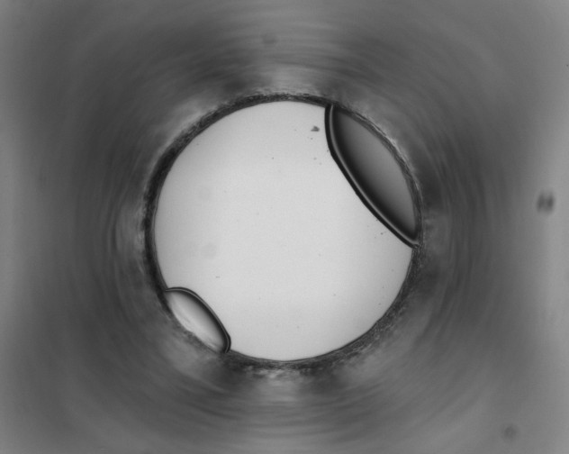 X0000101420395200808041132