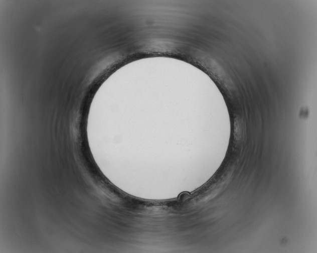 X0000101420396200808041132