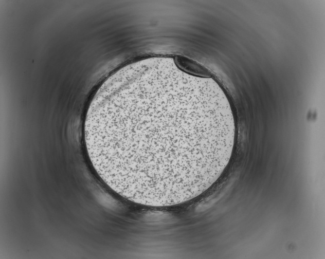 X0000101420397200808041132