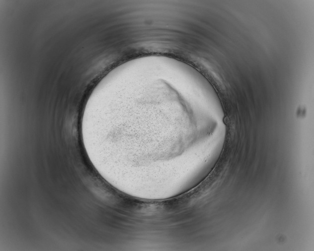 X0000101420398200808041132