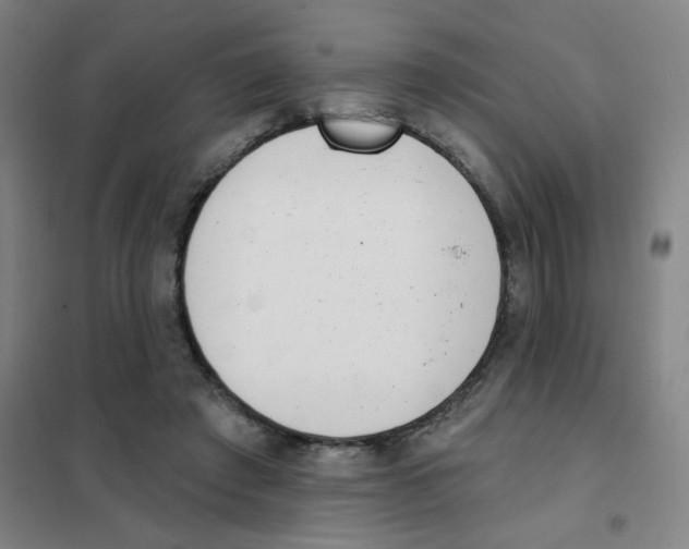 X0000101420401200808041132