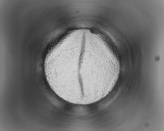 X0000101420402200808041132