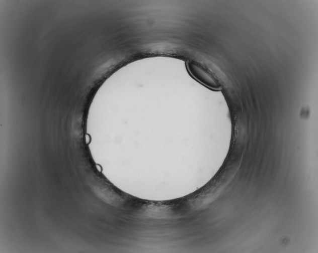 X0000101420403200808041132