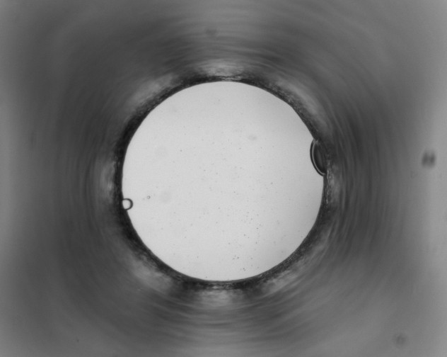 X0000101420404200808041132