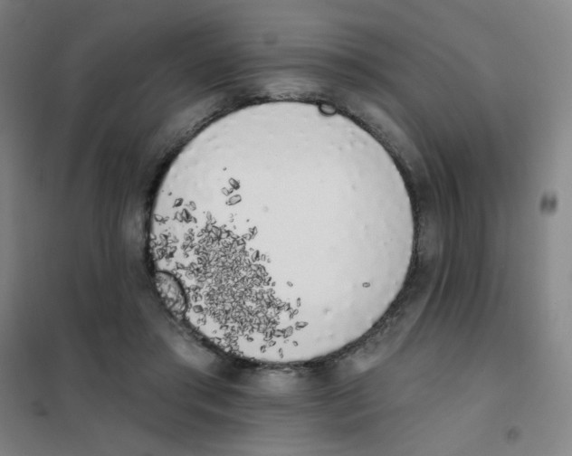 X0000101420405200808041132