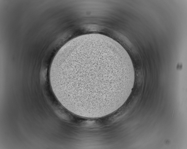 X0000101420406200808041132
