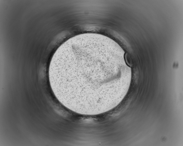 X0000101420407200808041132