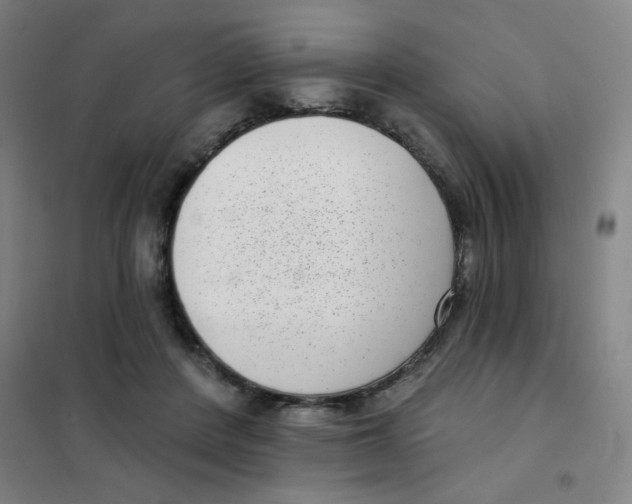 X0000101420408200808041132