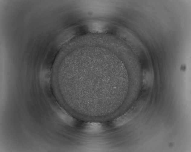 X0000101420409200808041132
