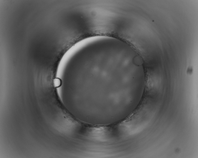 X0000101420411200808041132