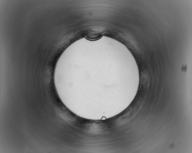 X0000101420412200808041132