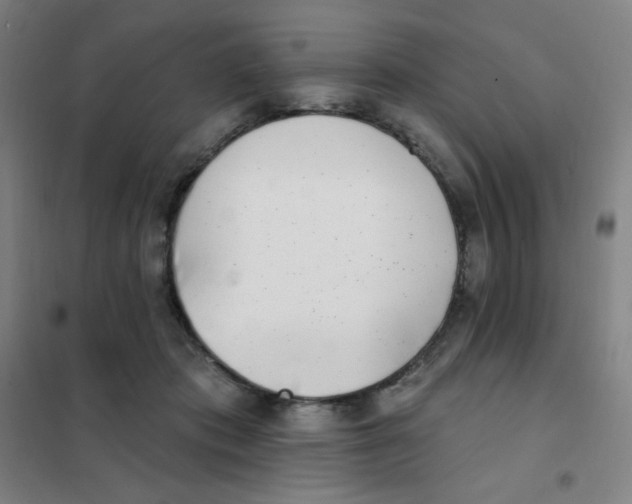X0000101420413200808041132