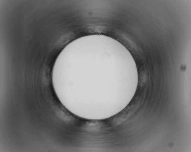 X0000101420414200808041132