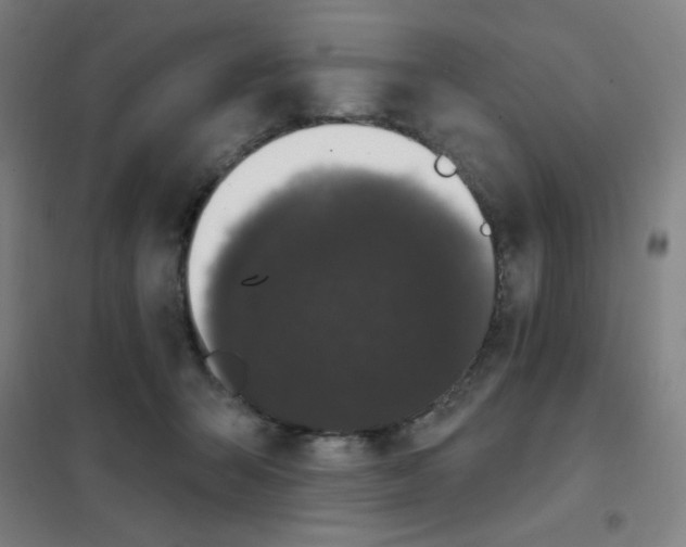 X0000101420415200808041132