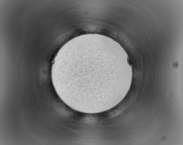 X0000101420416200808041132