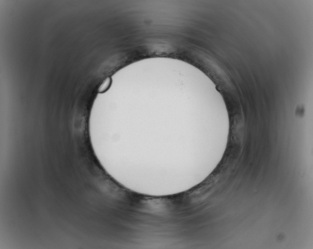 X0000101420417200808041132