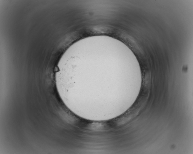 X0000101420418200808041132