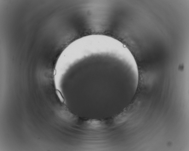 X0000101420419200808041132