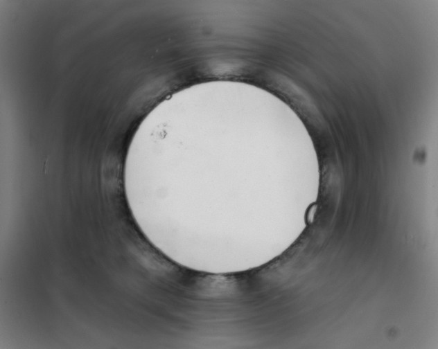 X0000101420421200808041132
