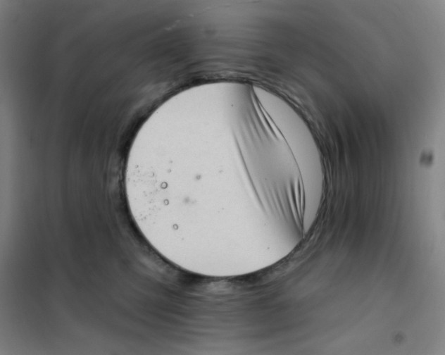 X0000101420423200808041132