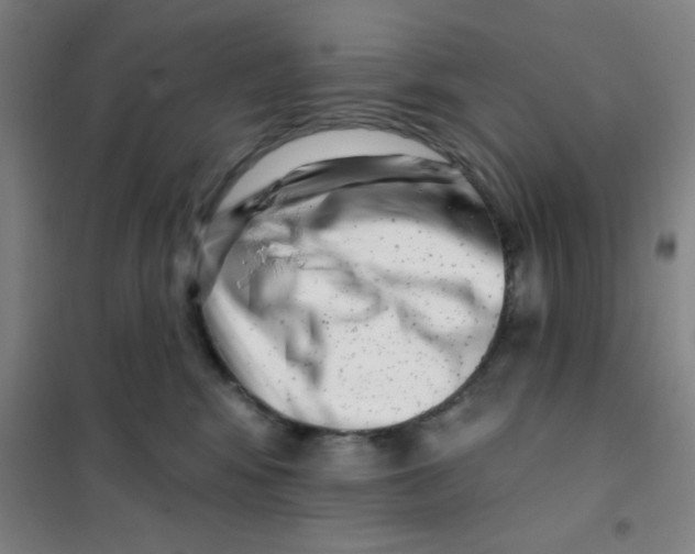 X0000101420424200808041132