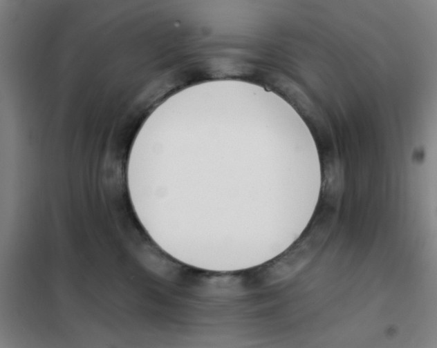 X0000101420426200808041132