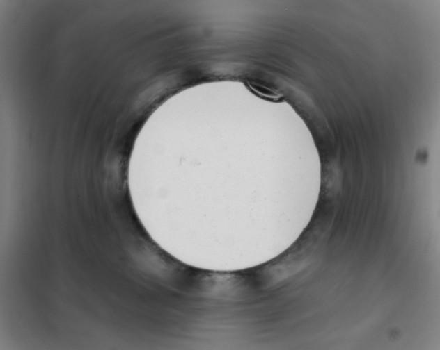 X0000101420428200808041132