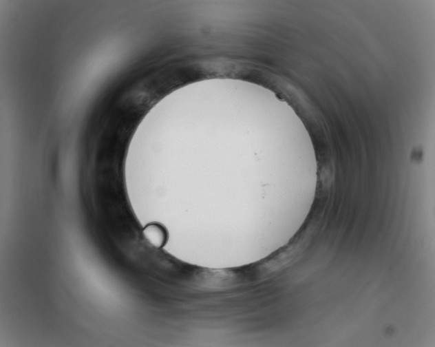 X0000101420429200808041132