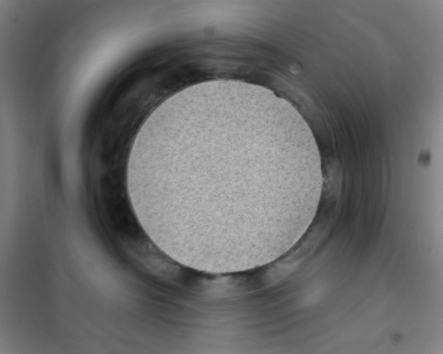 X0000101420430200808041132