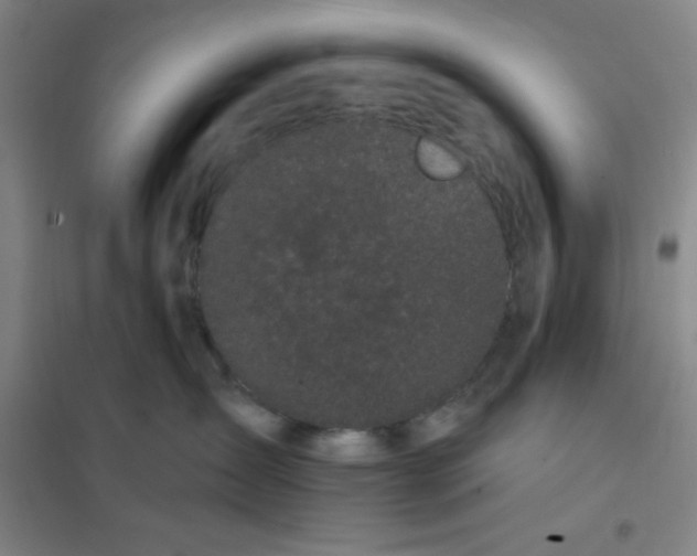 X0000101420431200808041132