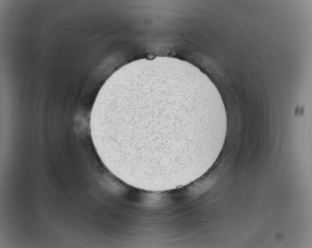 X0000101420432200808041132