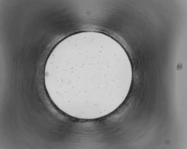 X0000101420433200808041131