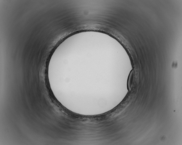 X0000101420434200808041131