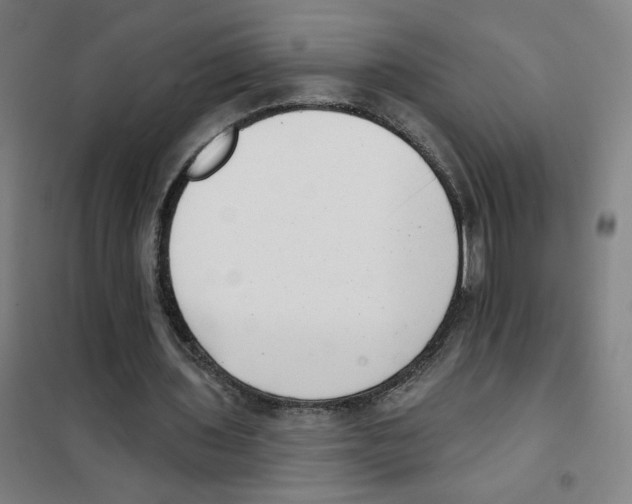 X0000101420435200808041131