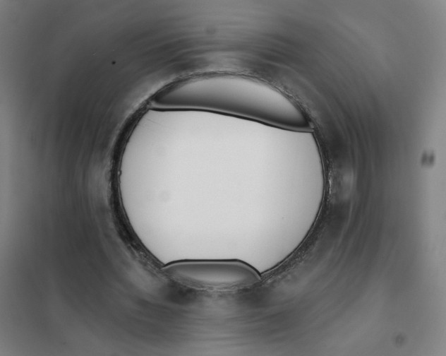 X0000101420436200808041131
