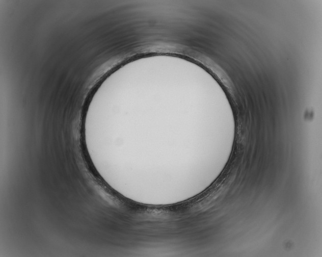 X0000101420437200808041131