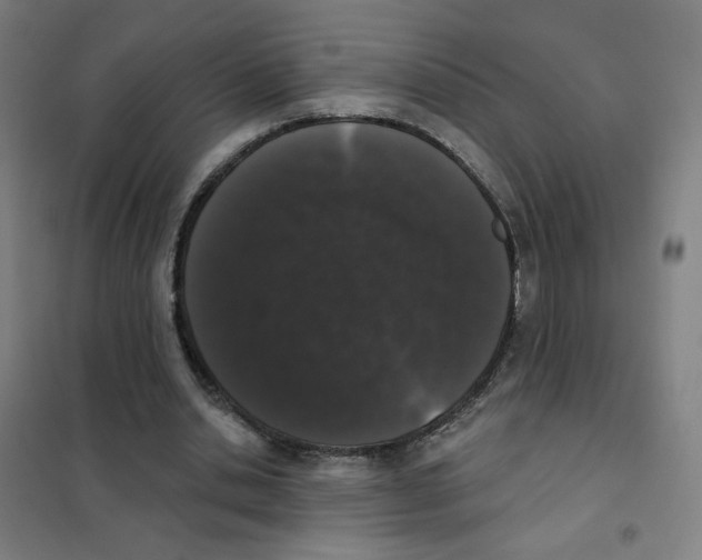 X0000101420438200808041131