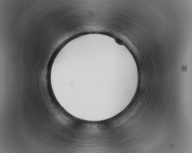 X0000101420439200808041131