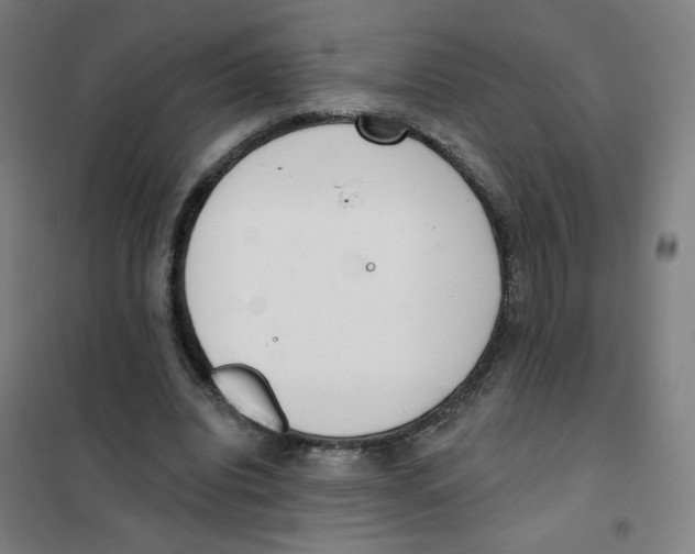 X0000101420440200808041131