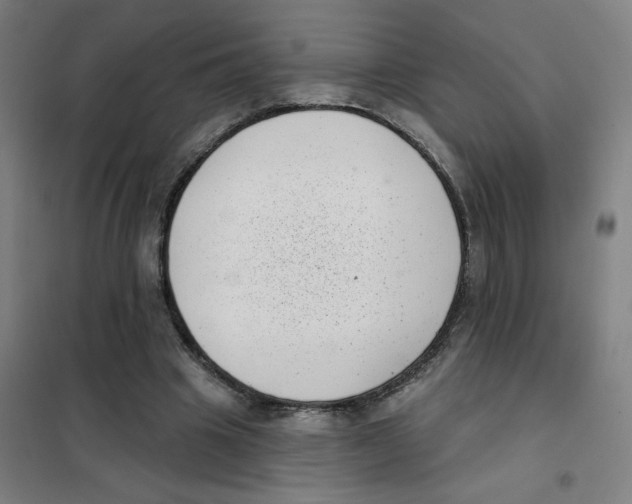 X0000101420441200808041131