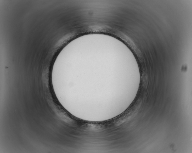 X0000101420442200808041131