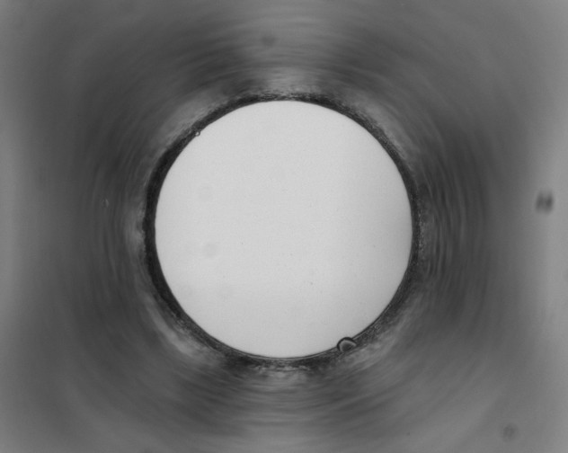 X0000101420443200808041131