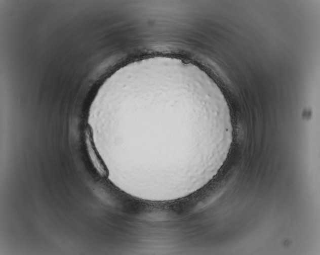 X0000101420444200808041131