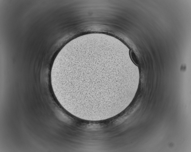 X0000101420445200808041131