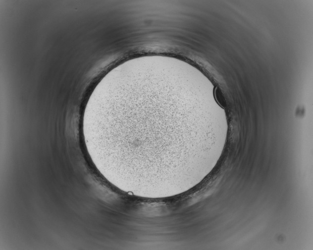 X0000101420446200808041131