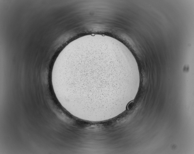 X0000101420447200808041131