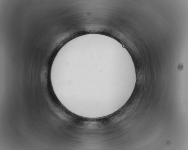 X0000101420448200808041131