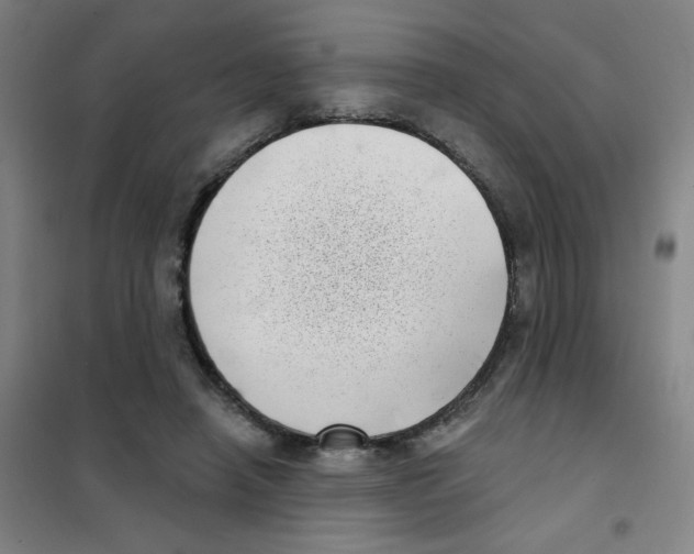 X0000101420450200808041132