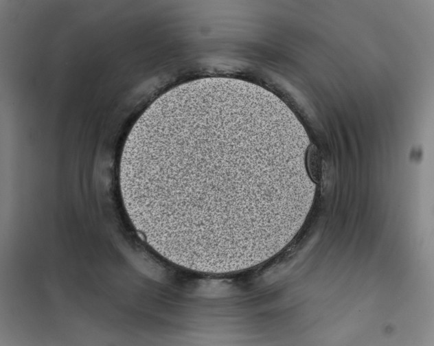 X0000101420451200808041132
