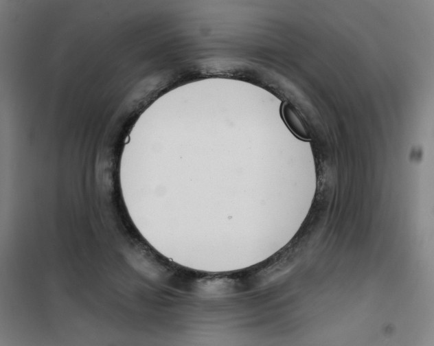 X0000101420452200808041132